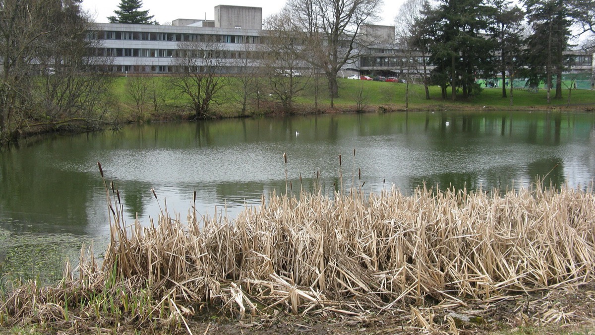 Software Engineering
